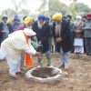 All Sikhs must plant a tree on 14 March 2013